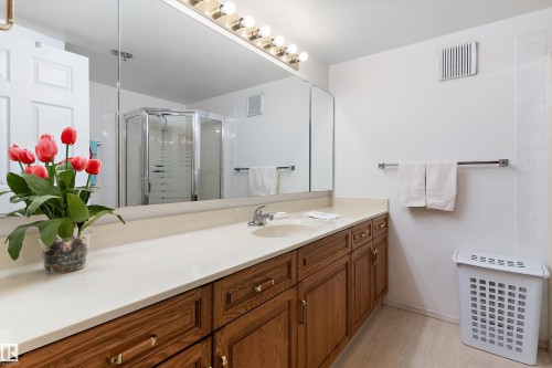209 10915 21 Avenue, Edmonton, AB - Indoor Photo Showing Bathroom
