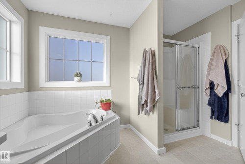 1756 63 Street, Edmonton, AB - Indoor Photo Showing Bathroom