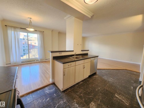 603 9707 105 Street, Edmonton, AB - Indoor Photo Showing Kitchen With Double Sink