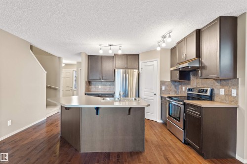 21328 95 Avenue, Edmonton, AB - Indoor Photo Showing Kitchen With Upgraded Kitchen