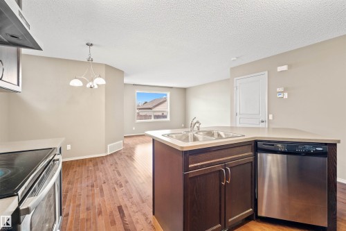 21328 95 Avenue, Edmonton, AB - Indoor Photo Showing Kitchen With Double Sink