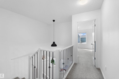 2208 82 Street, Edmonton, AB - Indoor Photo Showing Other Room