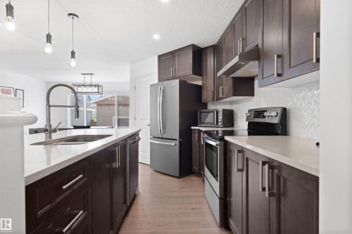 2208 82 Street, Edmonton, AB - Indoor Photo Showing Kitchen With Double Sink With Upgraded Kitchen