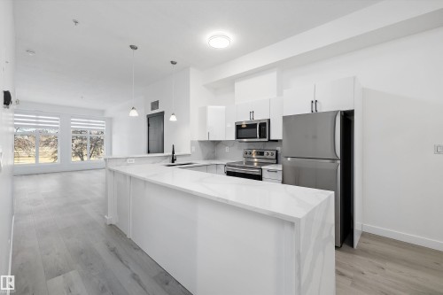 200 10531 117 Street, Edmonton, AB - Indoor Photo Showing Kitchen With Upgraded Kitchen