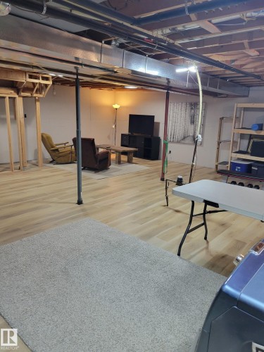 12211 42A Avenue, Edmonton, AB - Indoor Photo Showing Basement