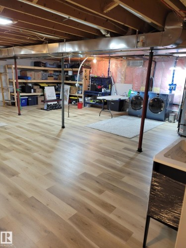 12211 42A Avenue, Edmonton, AB - Indoor Photo Showing Basement