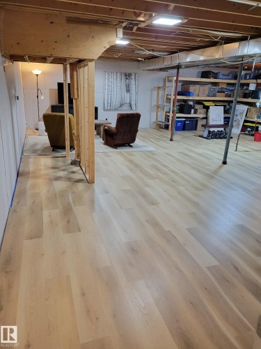 12211 42A Avenue, Edmonton, AB - Indoor Photo Showing Basement
