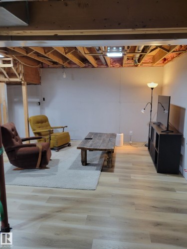 12211 42A Avenue, Edmonton, AB - Indoor Photo Showing Basement