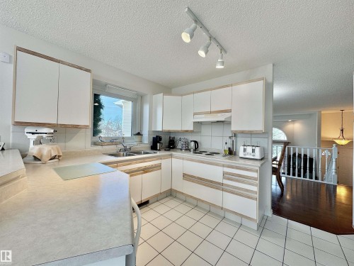 3772 30 Street, Edmonton, AB - Indoor Photo Showing Kitchen With Double Sink