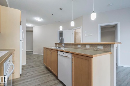 100 4835 104A Street Nw, Edmonton, AB - Indoor Photo Showing Kitchen With Double Sink
