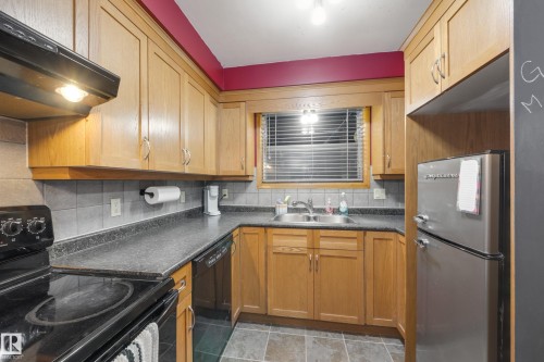 7315 83 Street, Edmonton, AB - Indoor Photo Showing Kitchen With Double Sink
