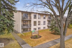 204 10829 117 Street  Edmonton, AB T5H 3N4