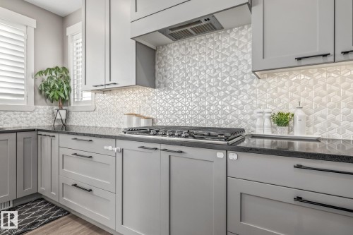 4210 Veterans Way, Edmonton, AB - Indoor Photo Showing Kitchen With Upgraded Kitchen
