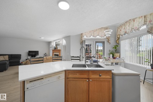 4960 191 Street, Edmonton, AB - Indoor Photo Showing Kitchen With Double Sink