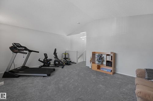 4960 191 Street, Edmonton, AB - Indoor Photo Showing Gym Room