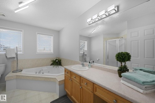 4960 191 Street, Edmonton, AB - Indoor Photo Showing Bathroom