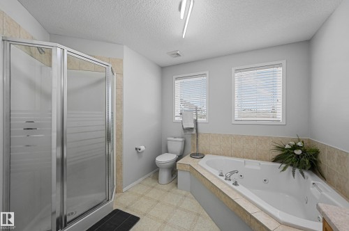 4960 191 Street, Edmonton, AB - Indoor Photo Showing Bathroom