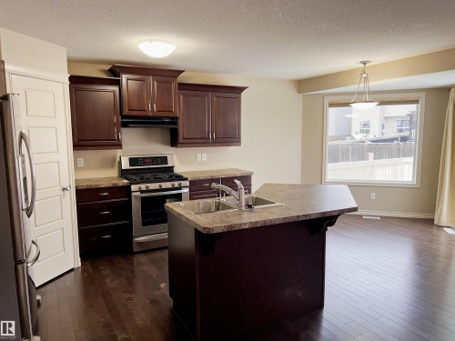 1117 59A Street, Edmonton, AB - Indoor Photo Showing Kitchen With Double Sink