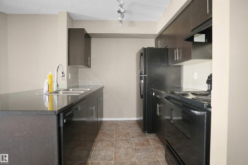 216 3315 James Mowatt Trail, Edmonton, AB - Indoor Photo Showing Kitchen With Double Sink With Upgraded Kitchen