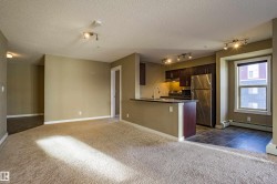 Kitchen with dark brown cabinetry, appliances with stainless steel finishes, open floor plan, dark colored carpet, and dark countertops - 