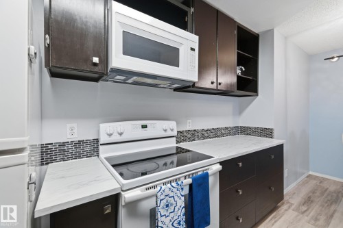 408 10511 19 Avenue, Edmonton, AB - Indoor Photo Showing Kitchen