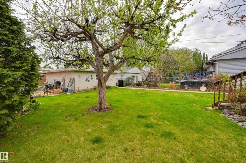 9725 143 Street, Edmonton, AB - Outdoor