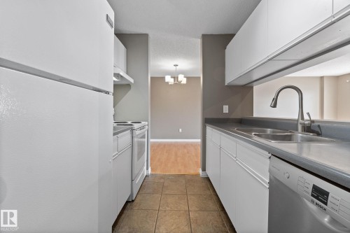 304 2508 50 Street, Edmonton, AB - Indoor Photo Showing Kitchen With Double Sink