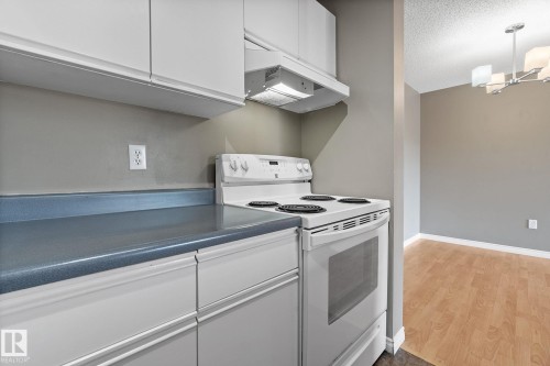 304 2508 50 Street, Edmonton, AB - Indoor Photo Showing Kitchen