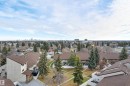 84 8735 165 Street, Edmonton, AB  - Outdoor With View 