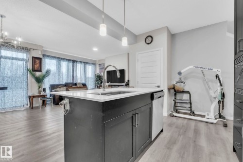 22007 80 Avenue, Edmonton, AB - Indoor Photo Showing Kitchen With Double Sink