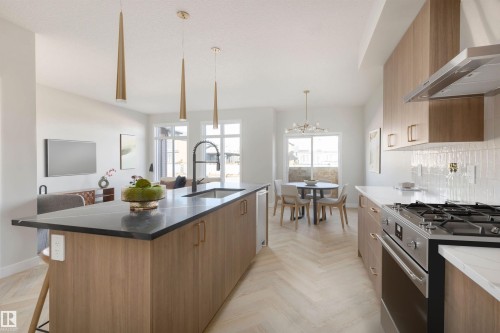 20620 43 Avenue, Edmonton, AB - Indoor Photo Showing Kitchen With Upgraded Kitchen