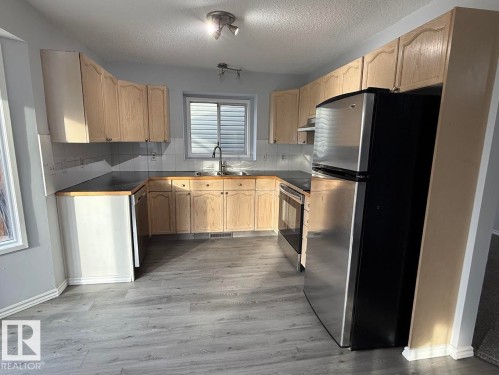 6016 189 Street, Edmonton, AB - Indoor Photo Showing Kitchen With Double Sink