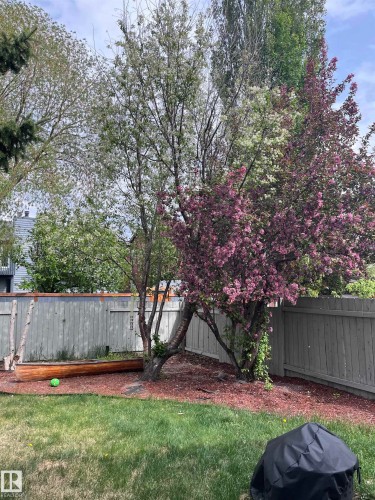 1511 109 Street, Edmonton, AB - Outdoor With Backyard