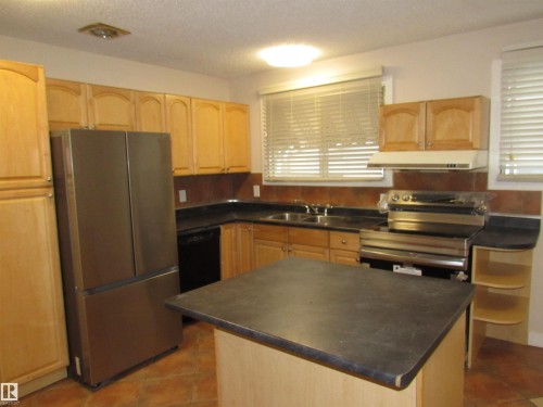 11407 134A Avenue, Edmonton, AB - Indoor Photo Showing Kitchen With Double Sink