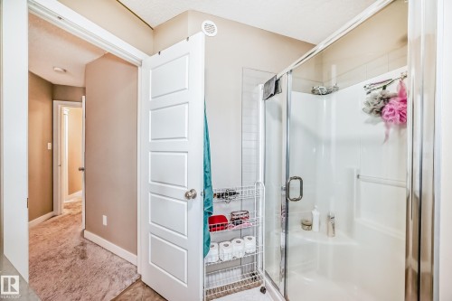 246 Hawks Ridge Boulevard, Edmonton, AB - Indoor Photo Showing Bathroom