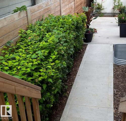 View of yard - 14812 98 Avenue, Edmonton, AB - Outdoor