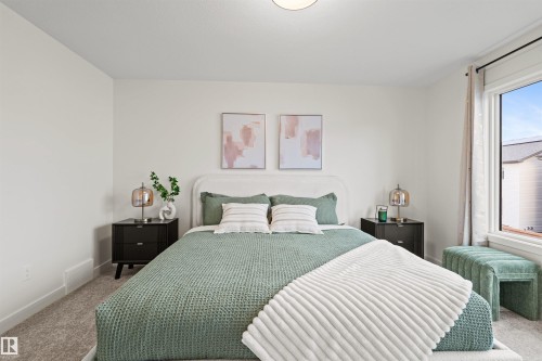 2009 209A Street, Edmonton, AB - Indoor Photo Showing Bedroom