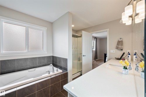 9864 222 Street, Edmonton, AB - Indoor Photo Showing Bathroom