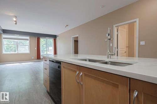 113 9507 101 Avenue, Edmonton, AB - Indoor Photo Showing Kitchen With Double Sink