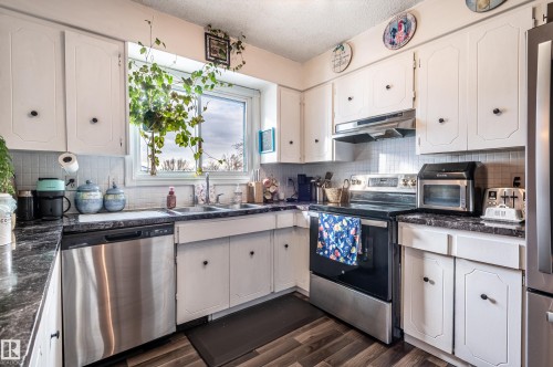 11007 172 Avenue, Edmonton, AB - Indoor Photo Showing Kitchen With Stainless Steel Kitchen With Double Sink
