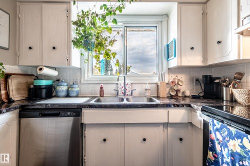 11007 172 Avenue, Edmonton, AB - Indoor Photo Showing Kitchen With Double Sink