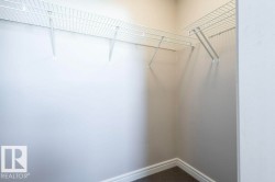 Spacious closet with carpet floors - 