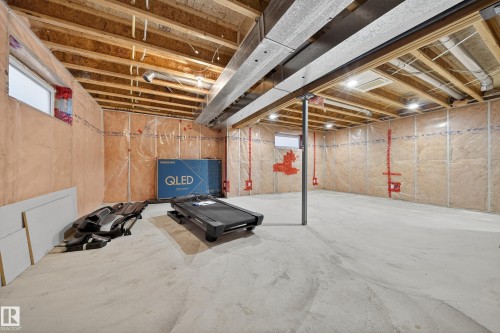4712 204 Street, Edmonton, AB - Indoor Photo Showing Basement