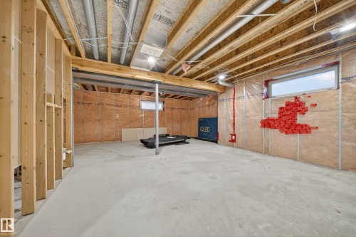 4712 204 Street, Edmonton, AB - Indoor Photo Showing Basement