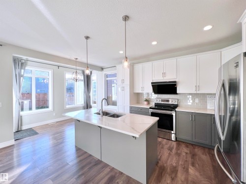 1603 169 Street, Edmonton, AB - Indoor Photo Showing Kitchen With Double Sink With Upgraded Kitchen