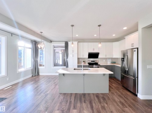 1603 169 Street, Edmonton, AB - Indoor Photo Showing Kitchen With Double Sink With Upgraded Kitchen