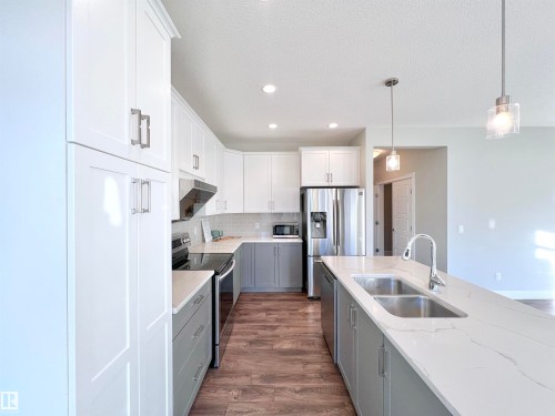 1603 169 Street, Edmonton, AB - Indoor Photo Showing Kitchen With Double Sink With Upgraded Kitchen