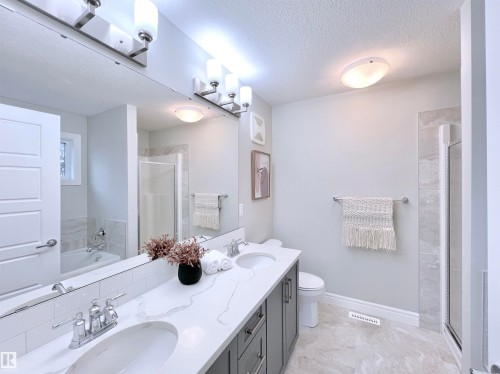 1603 169 Street, Edmonton, AB - Indoor Photo Showing Bathroom