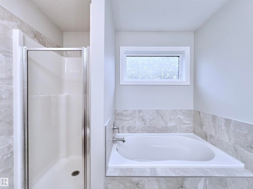 1603 169 Street, Edmonton, AB - Indoor Photo Showing Bathroom