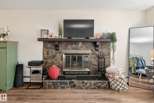 201 10743 107 Street, Edmonton, AB - Indoor Photo Showing Living Room With Fireplace